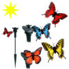 Sommerfugl Solar Fluttering - Image 7