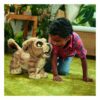 Simba, superbrøl Hasbro - Image 4