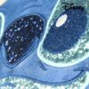 Shoulder Bag Stitch Disney 72809 Blå - Image 2