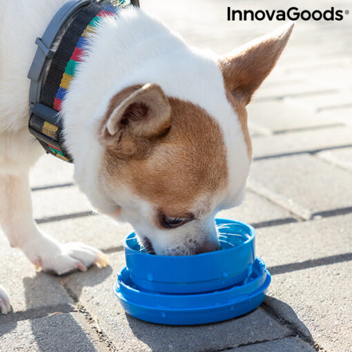 Udtrækkelig hundesnor 6-i-1 Compet InnovaGoods - Image 8