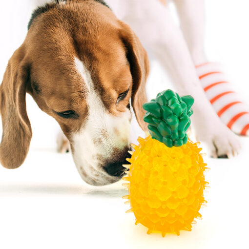 Legetøj til hunde Fruits