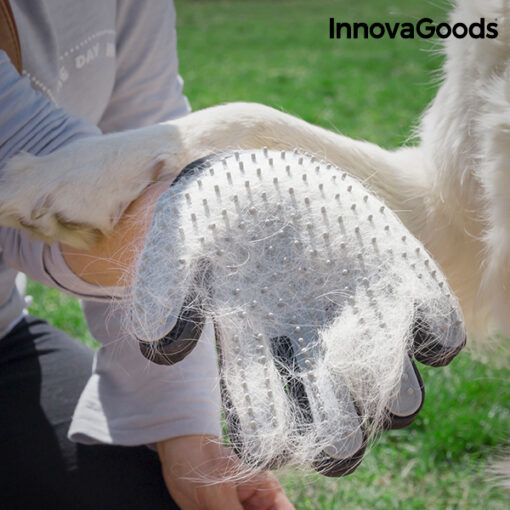 InnovaGoods børste og massagehandske til kæledyr - Image 6