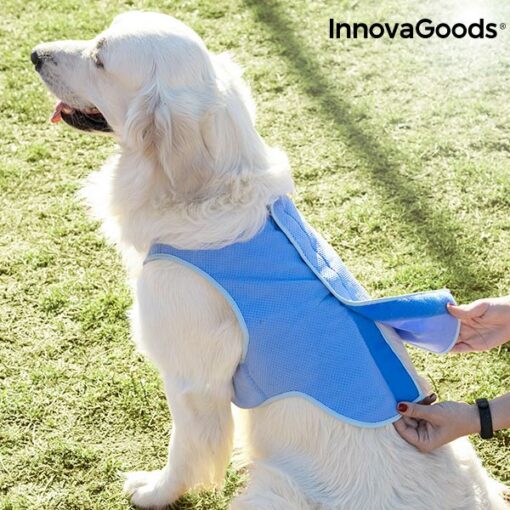 InnovaGoods Afkølingsvest til Store Kæledyr - L - Image 7