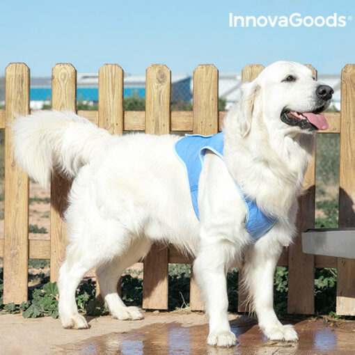 InnovaGoods Afkølingsvest til Store Kæledyr - L - Image 4