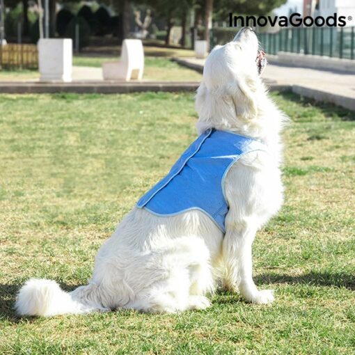 InnovaGoods Afkølingsvest til Store Kæledyr - L - Image 3