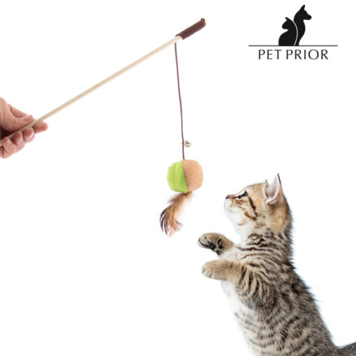 Pet Prior Legetøj til Katte