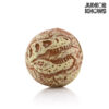 Junior Knows Fossil Bold - Image 2