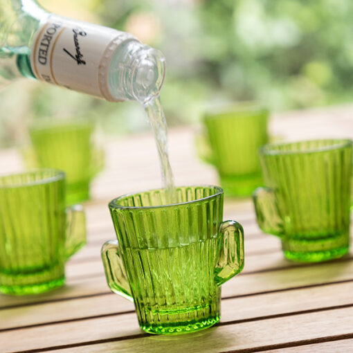 Kaktus shotglas